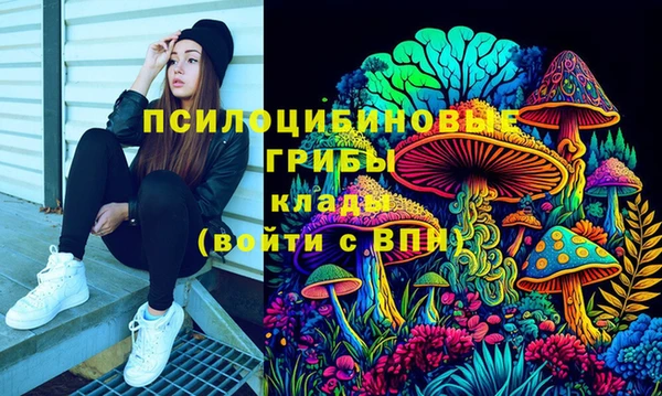 таблы Богданович