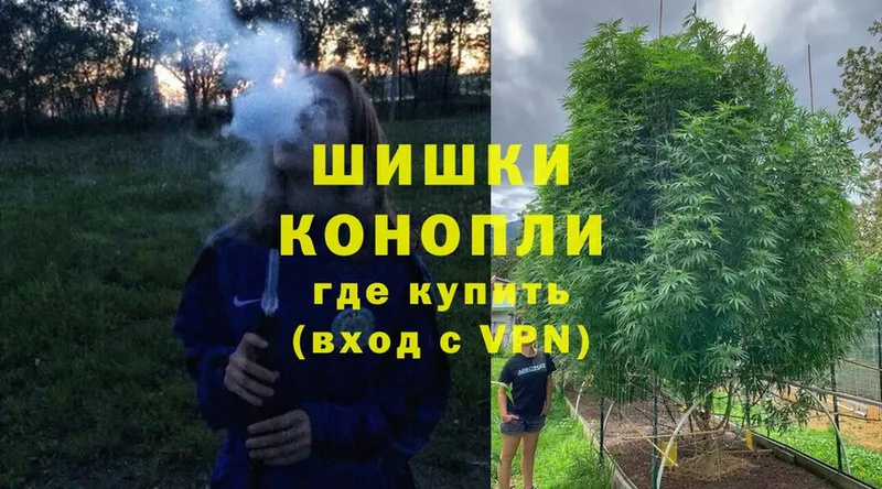 продажа наркотиков  Курск  Бошки марихуана Bruce Banner 